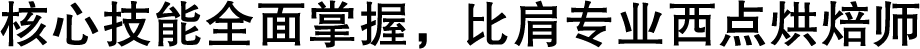 核心技能全面掌握